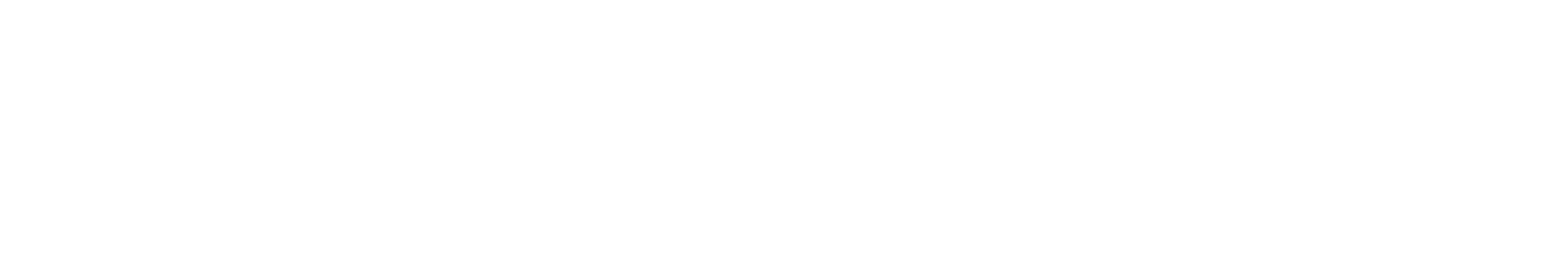 Flexischools Logo 2025 - White